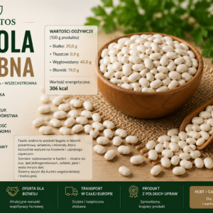 🌱 FASOLA DROBNA 5 KG / 25 KG – PRODUKTY SYPKIE FRUCTOS - obrazek 3