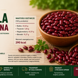 FASOLA CZERWONA 5 KG / 25 KG – PRODUKTY SYPKIE FRUCTOS - obrazek 3